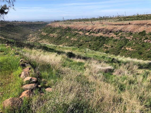 view of nature featuring a rural view