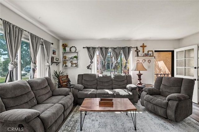 living area featuring wood finished floors