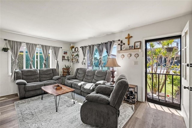 living room featuring plenty of natural light and wood finished floors