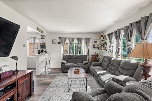 living area featuring a healthy amount of sunlight and wood finished floors