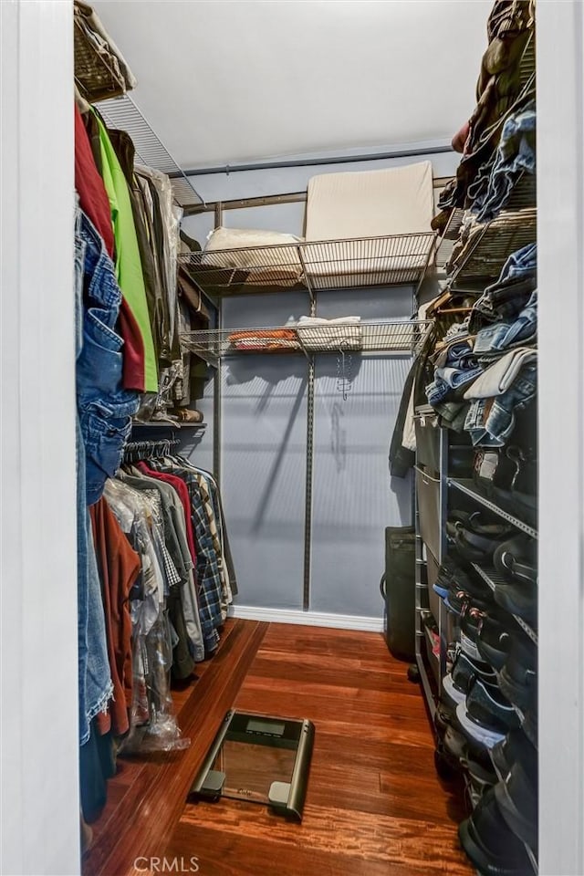 walk in closet featuring wood finished floors