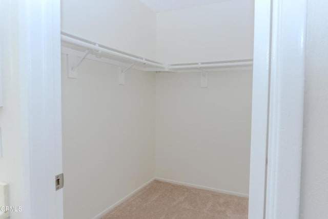 spacious closet featuring light carpet