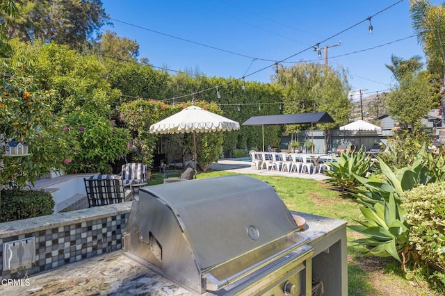 view of yard with a patio