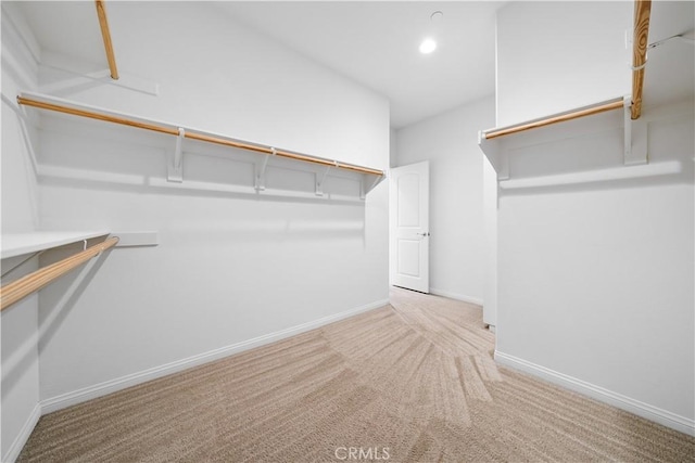 spacious closet featuring carpet floors