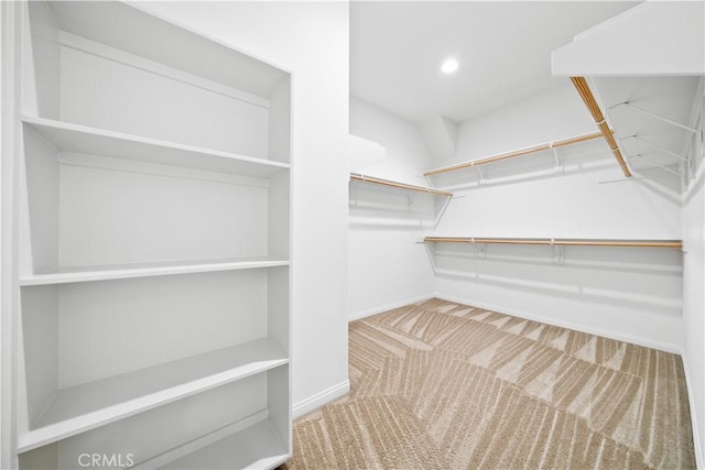 walk in closet with carpet flooring