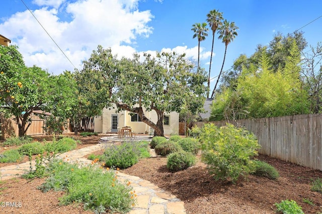 view of yard with a patio and a fenced backyard