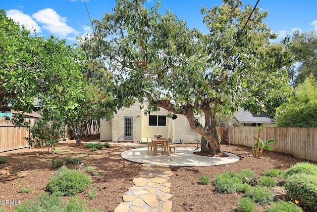 view of yard with a patio area and a fenced backyard