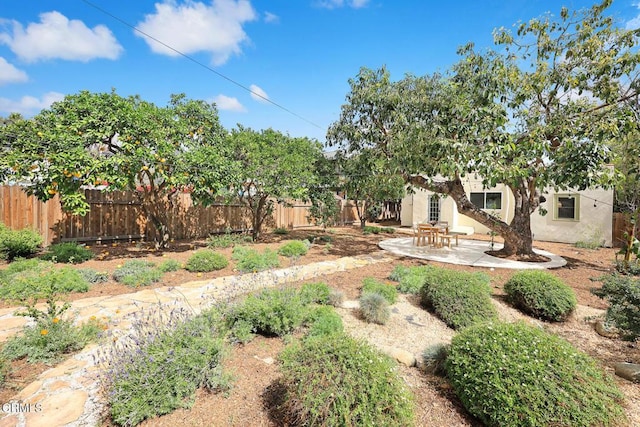 view of yard featuring a patio and fence