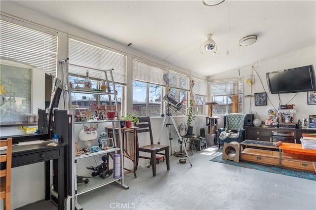 exercise room with lofted ceiling