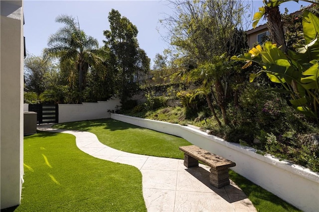 view of yard featuring a patio area and fence