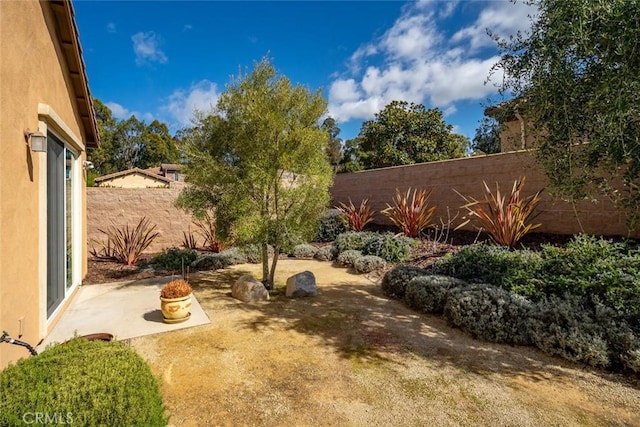 view of yard with a patio area and a fenced backyard