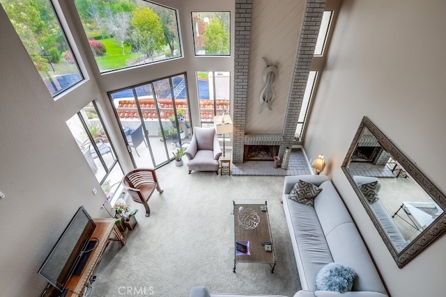 living room featuring a high ceiling and carpet