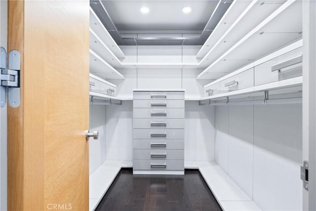 spacious closet with dark wood-style flooring