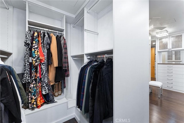 walk in closet with wood finished floors