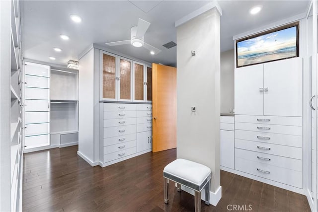 spacious closet with a ceiling fan and dark wood-style flooring