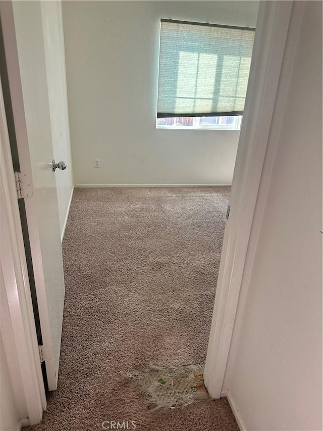 interior space with baseboards and carpet