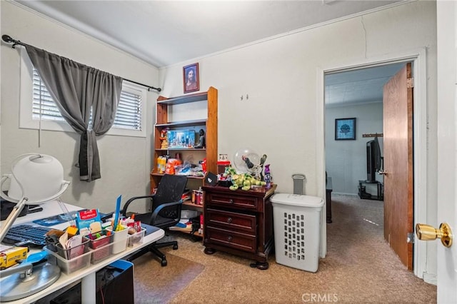 office space featuring carpet floors and ornamental molding