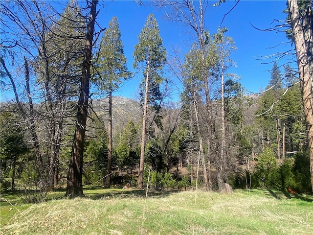 Listing photo 3 for 0 S Cascadel Dr S, North Fork CA 93643