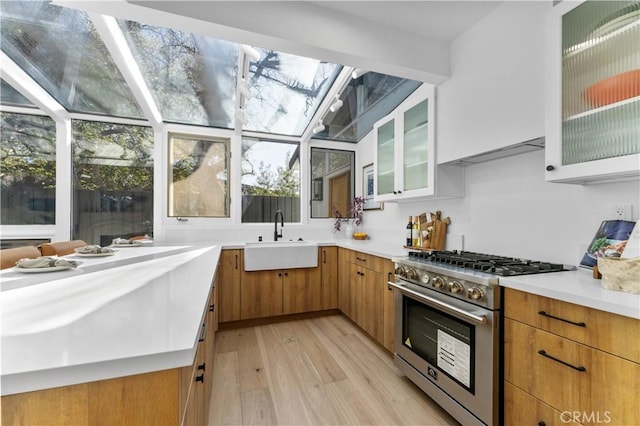 kitchen featuring a sink, a sunroom, light wood-style floors, light countertops, and high end range