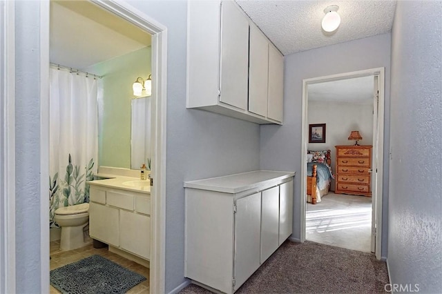 corridor featuring light carpet, a textured ceiling, a textured wall, and a sink