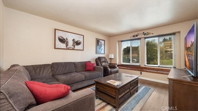 living room with wood finished floors and baseboards