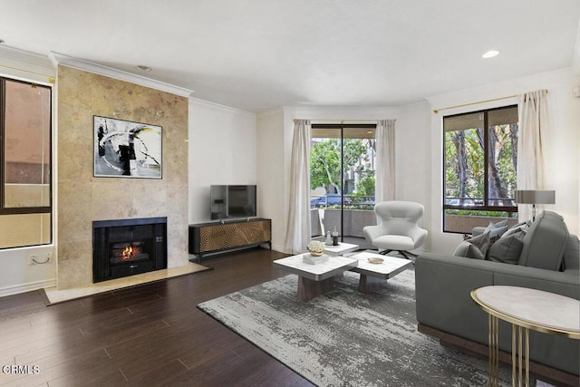 living room featuring crown molding and wood finished floors