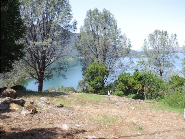 Listing photo 2 for 10336 Boren Bega Dr, Kelseyville CA 95451