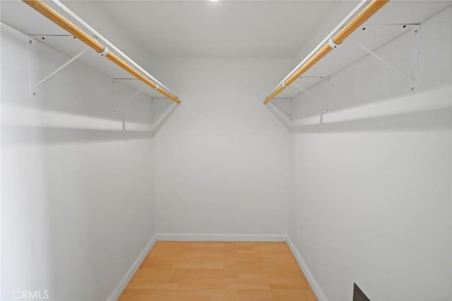 spacious closet featuring light wood-style flooring