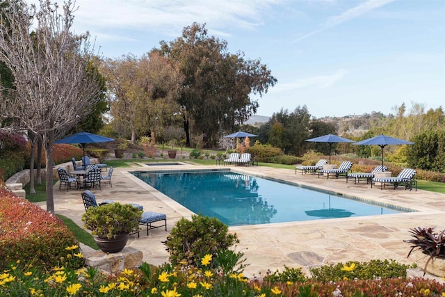 outdoor pool featuring a patio area