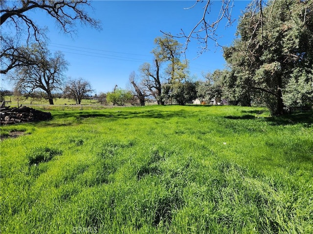 1882 Capay Rd, Corning, CA 96021 - photo 17