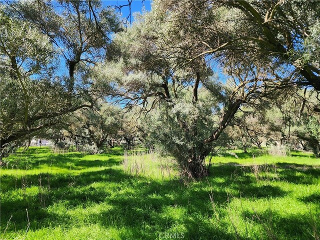 1882 Capay Rd, Corning, CA 96021 - photo 19
