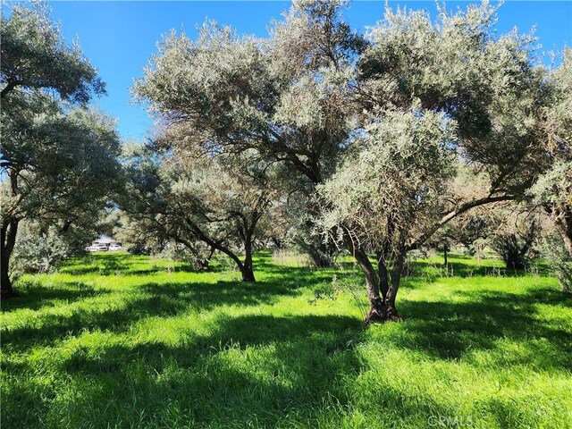 1882 Capay Rd, Corning, CA 96021 - photo 18