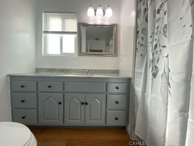 bathroom featuring vanity, toilet, and wood finished floors