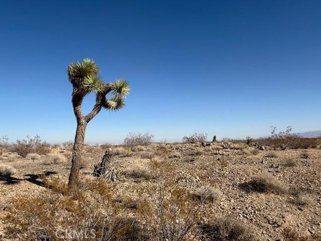 2160 Juniper Ave, Joshua Tree CA, 92252 land for sale