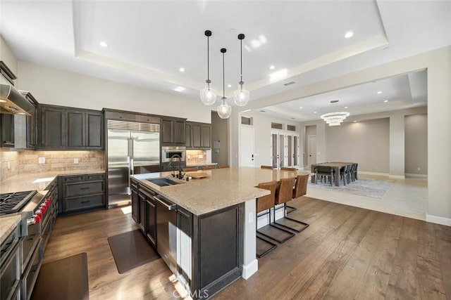 kitchen featuring a sink, a tray ceiling, dark wood-style floors, and stainless steel appliances