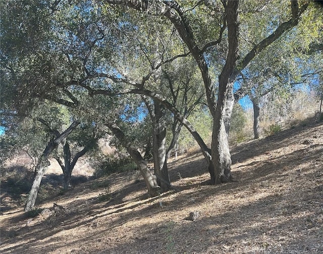 0 Stewart Canyon Rd, Fallbrook CA, 92028 land for sale