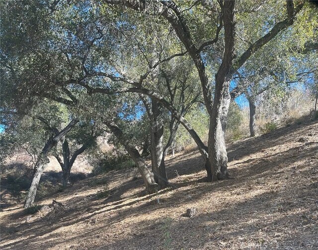 0 Stewart Canyon Rd, Fallbrook, CA 92028 - photo 3