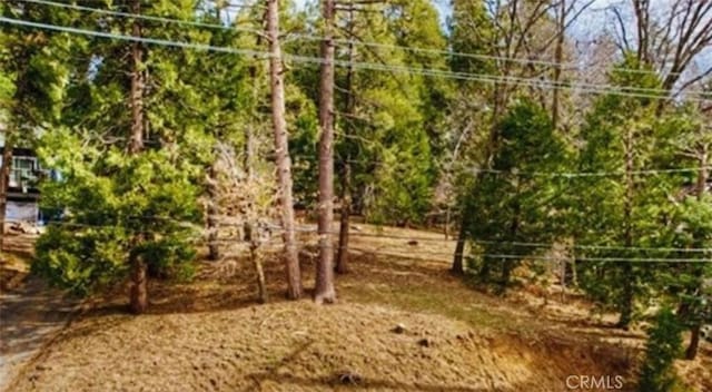 28931 Potomac Dr, Lake Arrowhead CA, 92352 land for sale