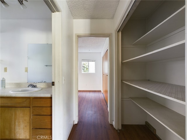 corridor featuring a sink, a textured ceiling, and dark wood-style flooring