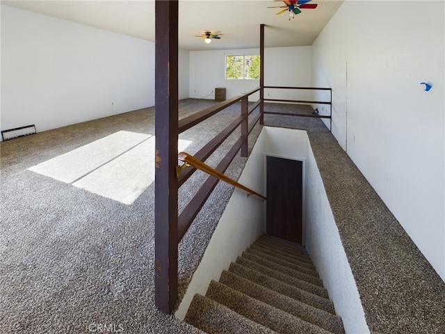 staircase with ceiling fan and carpet