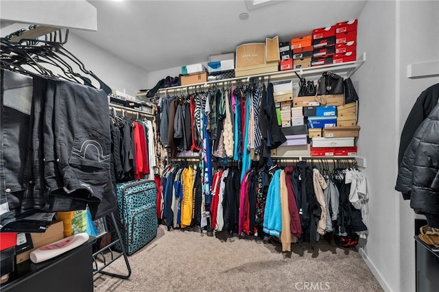 spacious closet with carpet