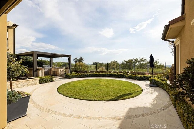 view of yard featuring exterior kitchen and a patio