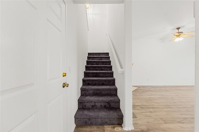 stairway featuring a ceiling fan and wood finished floors