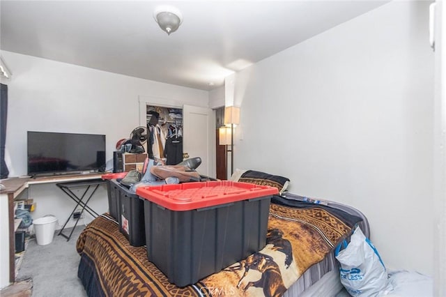 carpeted bedroom featuring a closet