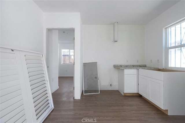 kitchen featuring white cabinets, light countertops, and dark wood-type flooring