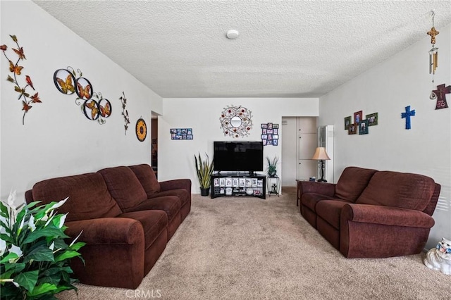 carpeted living area with a textured ceiling