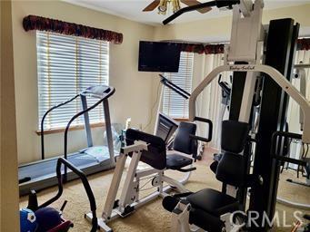 workout area featuring carpet and a ceiling fan