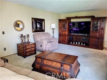 living area featuring carpet