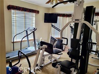 exercise area with a ceiling fan and carpet floors