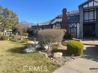 view of yard featuring a mountain view